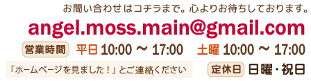 天使の苔 営業情報